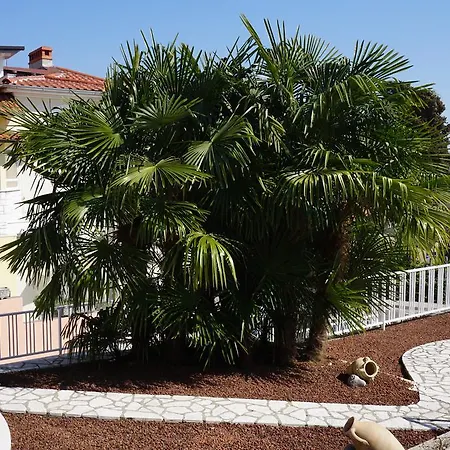 Apartment Graziella